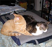 Emmitt and Rudy