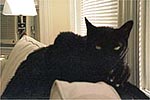 Nadia
